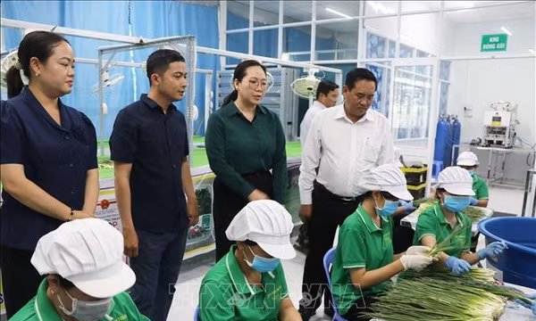 Để phản biện xã hội thực sự góp phần hoàn thiện chính sách