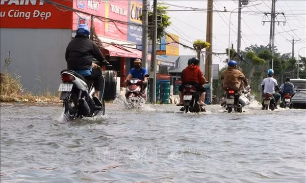Đồng Tháp chủ động ứng phó triều cường và sạt lở trong mùa mưa