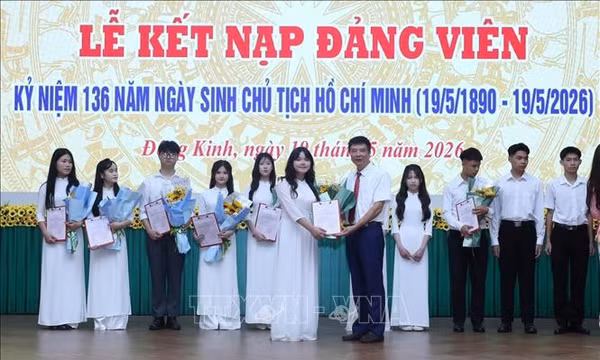 Ươm mầm những 'hạt giống đỏ' từ nhà trường
