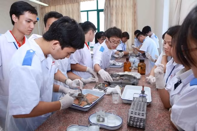 Phát triển các trường đại học, cao đẳng ngoài công lập ảnh 1