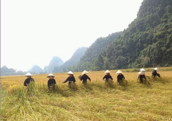 Xã biên giới Phong Châu cán đích nông thôn mới ảnh 1