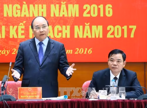 Thủ tướng Nguyễn Xuân Phúc: Sửa đổi cơ chế đất đai, “cởi trói” cho nông nghiệp ảnh 1