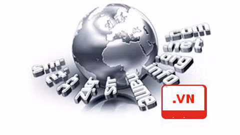 Nhiều vi phạm về sử dụng và cung cấp dịch vụ tên miền quốc tế tại Việt Nam ảnh 1