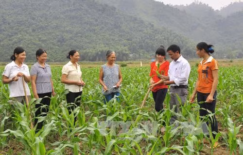 Côn Lôn xây dựng thành công nông thôn mới ảnh 2
