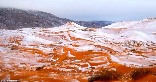 Ngắm tuyết rơi trên sa mạc Sahara đẹp “mê li” ảnh 1