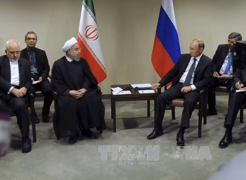 Tổng thống Nga, Iran thảo luận về tình hình Syria ảnh 1