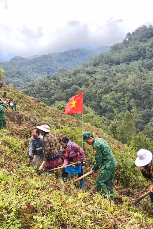 Bộ đội Biên phòng tỉnh Lai Châu giúp dân bản Ngài Thầu, xã Sì Lờ Lầu triển khai mô hình trồng rau xanh theo hướng tập trung, an toàn.