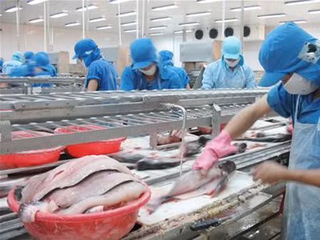 Xuất khẩu cá tra sang EU tiếp tục giảm ảnh 1