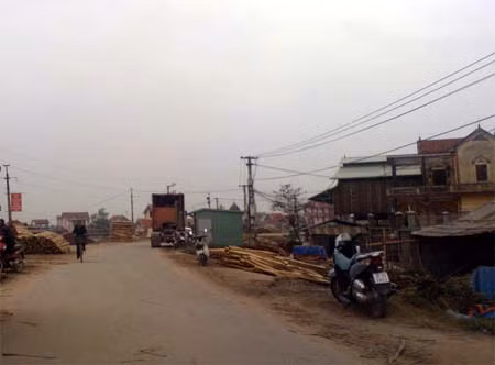 Vi phạm đê điều ở Hà Nội ngày càng nghiêm trọng ảnh 1