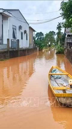 Cảnh báo lũ trên các sông tại Quảng Trị