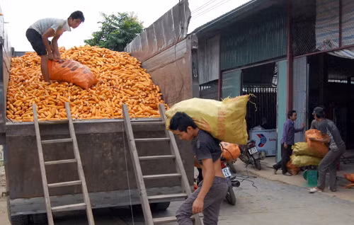 Nhờ Chương trình 135 giảm 30% hộ nghèo ảnh 3