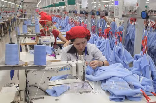 Dệt may Malaysia có thể thua Việt Nam nếu không vào TPP ảnh 1