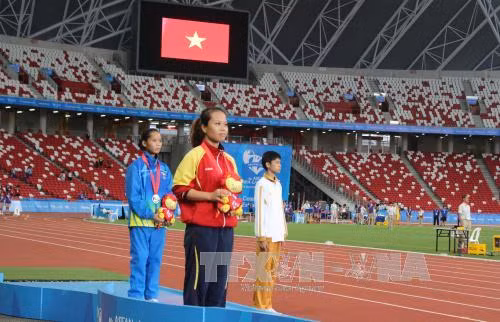 Việt Nam giành 9 HCV tại ASEAN Para Games 8 ảnh 1