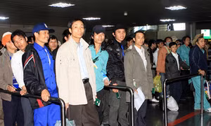 25 lao động Việt Nam bị mắc kẹt đã rời Libya an toàn
