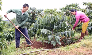 Cà phê chế biến vô danh