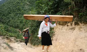 Lai Châu