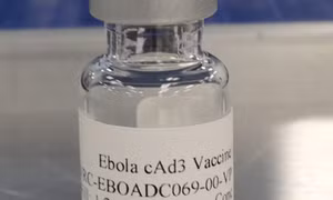 Mỹ thử nghiệm thành công vaccine phòng Ebola trên người 