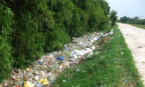 Hải Dương