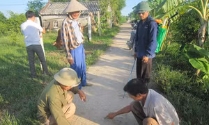 Nam Định