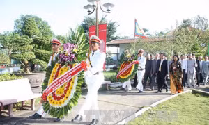 Đồng Tháp