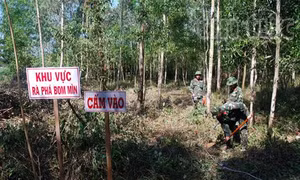Nâng cao hiệu quả tuyên truyền Chương trình 504