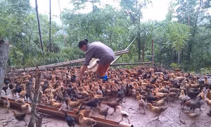 Bắc Kạn