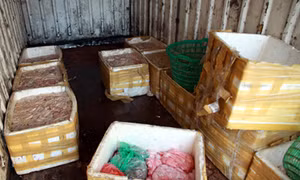 Hưng Yên