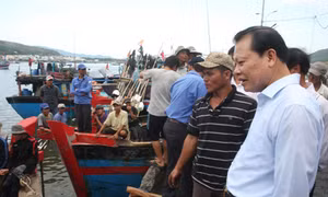 Ưu tiên vốn cho đánh bắt xa bờ