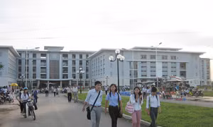 Cần thiết phân tầng – xếp hạng cơ sở giáo dục đại học