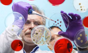 Dụng cụ phát hiện virus Ebola trong vòng 15 phút