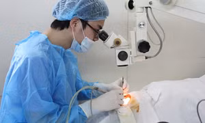 Hoạt động của các Ban Chỉ đạo