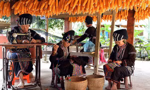 Lai Châu
