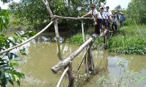 Mơ về những cây cầu khang trang