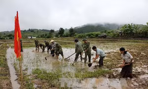 Kon Tum