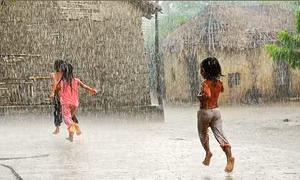 Mưa rào