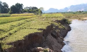Đồng Tháp