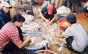 Đắk Lắk