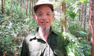 Quảng Ngãi