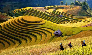 Yên Bái