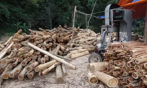 Khách hàng Nhật quan tâm đến bất động sản Việt Nam