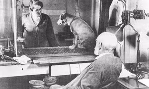 Ivan Pavlov - người tìm ra định luật 'phản xạ có điều kiện'