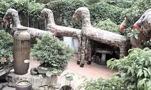 Triển lãm kết nối văn hóa và lịch sử Việt Nam - Pháp