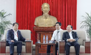 Bình Dương