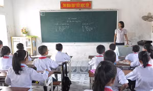 Bông hoa đẹp nơi vùng trũng Thái Bình
