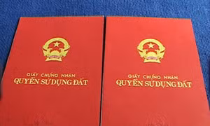Làm giả sổ đỏ đứng tên mẹ ruột để lừa đảo chiếm đoạt 3,3 tỷ đồng