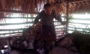Người thương binh dân tộc Tày lao động giỏi