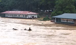 Hà Giang