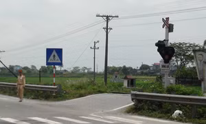 Nam Định