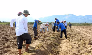 Hỗ trợ đất sản xuất cho đồng bào
