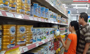 Giá sữa đang dần bình ổn